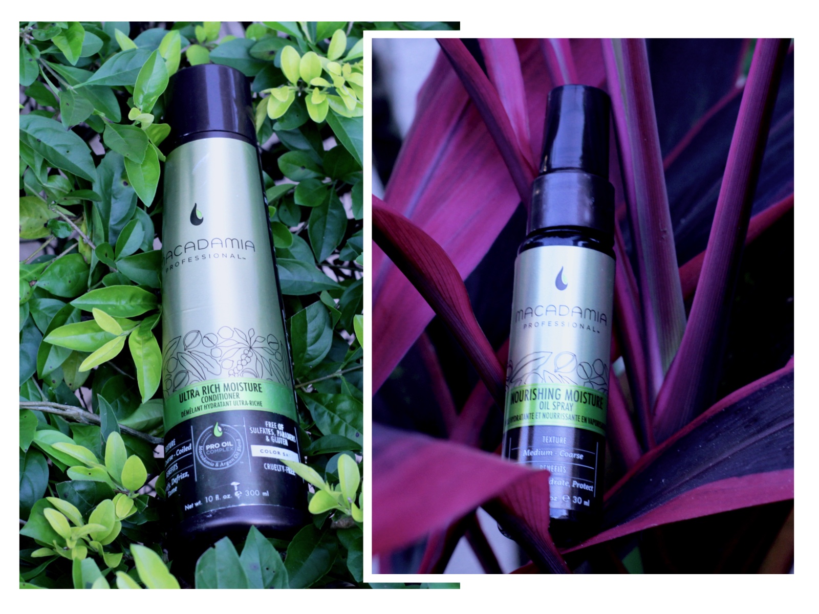 Favorite Hair Products - Tropical Edge - Macadamia