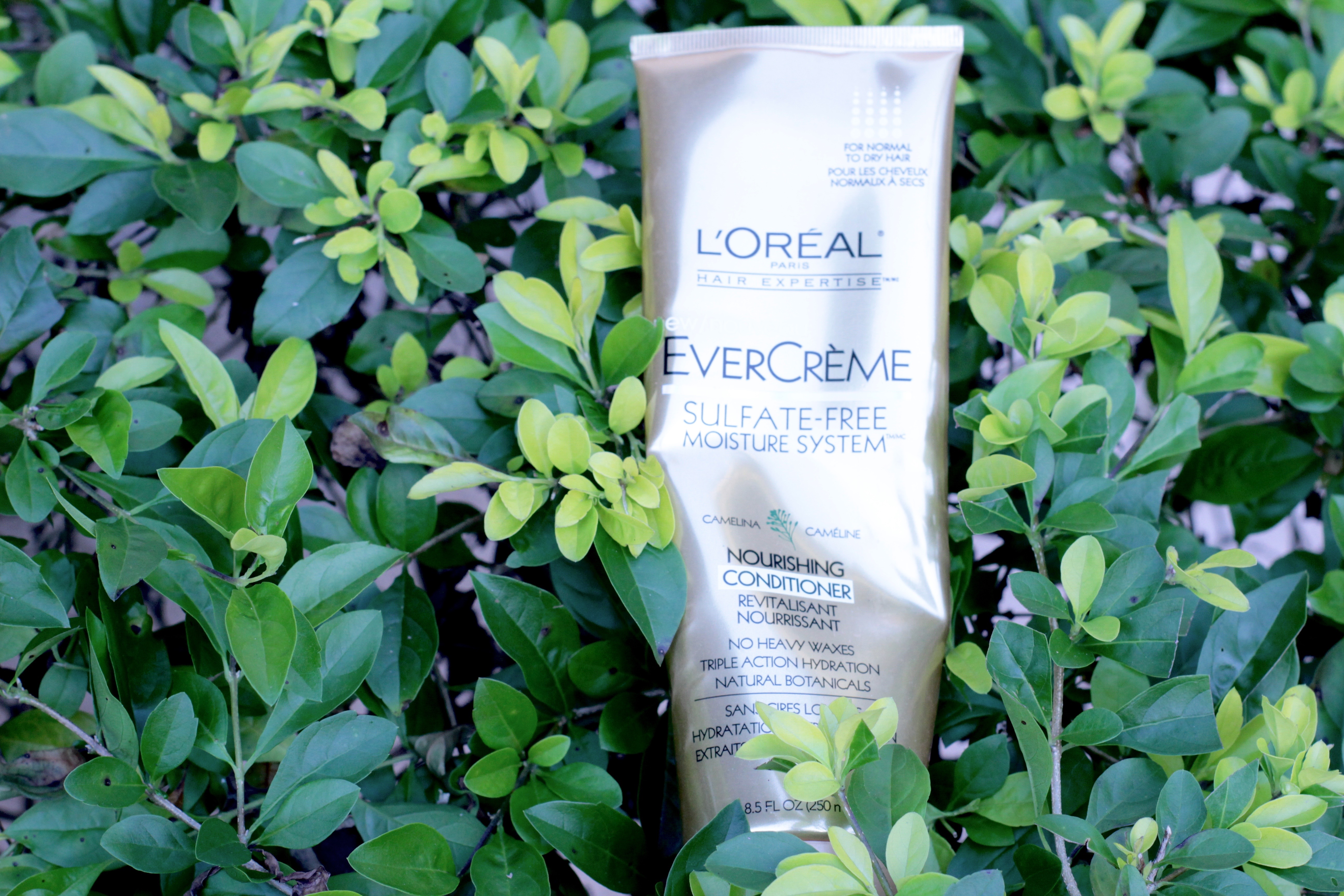 Favorite Hair Products - Tropical Edge - L'Oreal Evercreme _7925